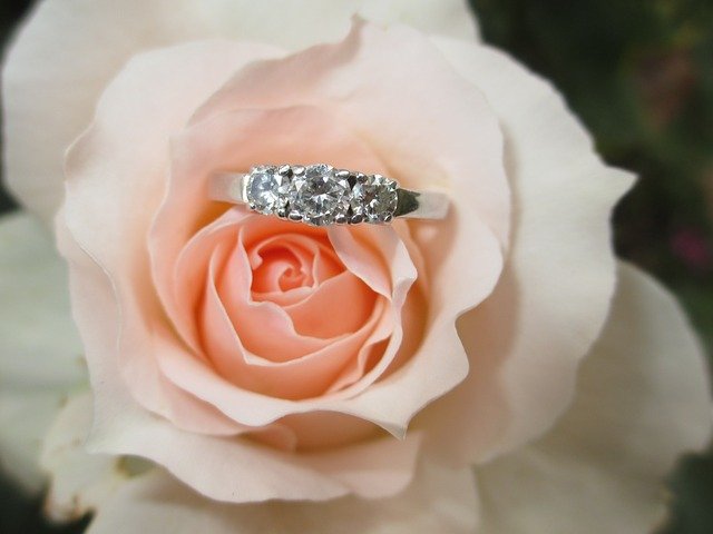 růžová růže, zásnubní prsten